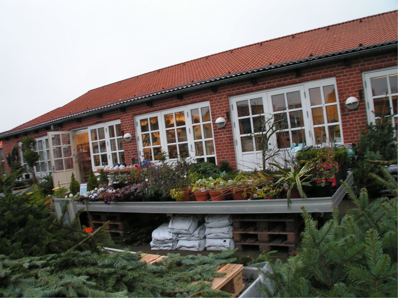 image 01